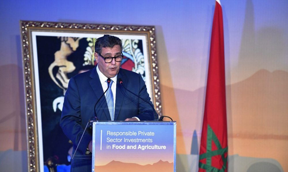 البنك الأوربي والفاو يدعمان المرحلة الثانية من "المغرب الأخضر"