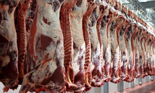 اللحوم الأمريكية تعود للمغرب بعد 14 عاما من الحظر