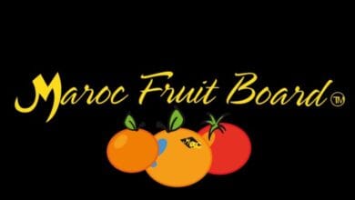 شركة Maroc Fruit Board تطلق حملة 2025/2026 لرفع الصادرات