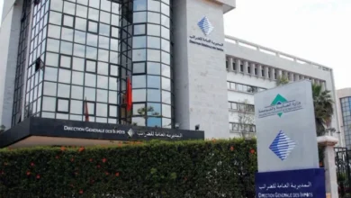 المديرية العامة للضرائب تكشف شبكة احتيال ضريبي باستخدام التوقف المؤقت عن النشاط