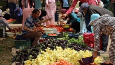التخطيط : 89.2% من دخل الأسر المغربية يذهب للاستهلاك المباشر
